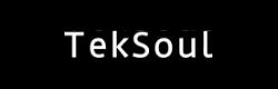 TekSoul